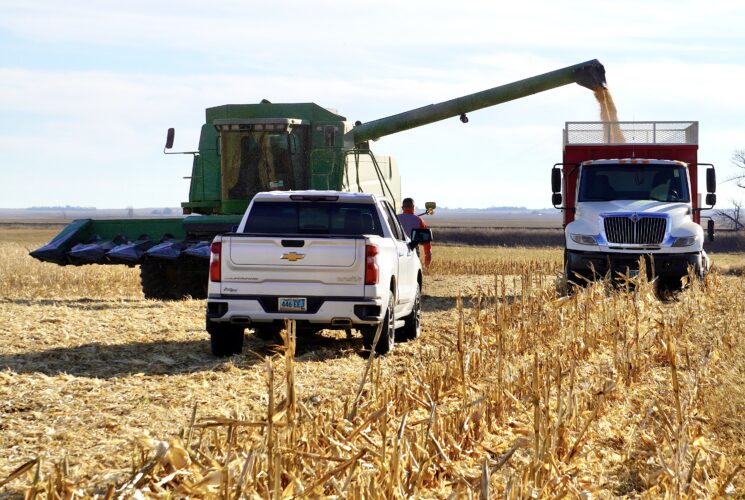 Grain facilities report good crops, improving prices